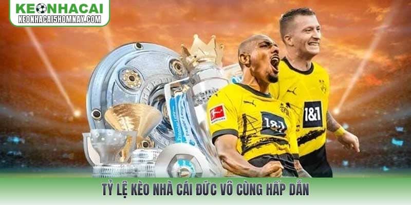 Tỷ lệ kèo nhà cái Đức vô cùng hấp dẫn